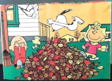 Snoopy blokkenpuzzel