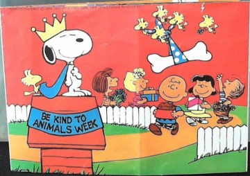 Snoopy blokkenpuzzel